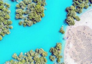 میان فرصت‌های طلایی و کمبود زیرساخت‌ها