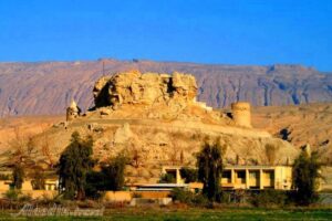 فین