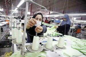 کار  یا آرامش چالش‌های پنهان در مسیر استقلال مالی